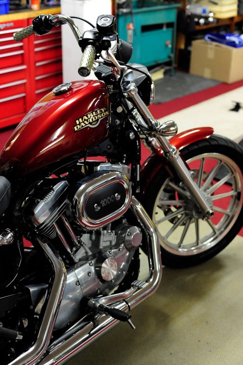 1403505_733452536739514_6778325796254524828_o